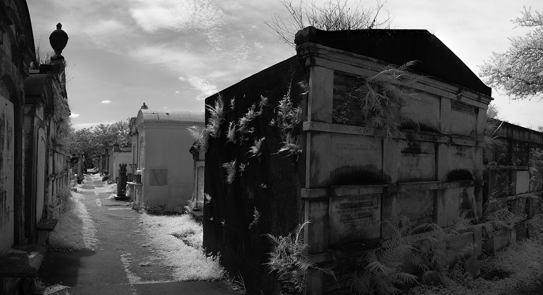 Dark Tomb with Ferns in Infrared.
